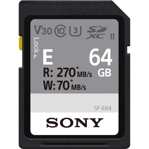 Best Memory Cards Sony RX100 V | Alik Griffin