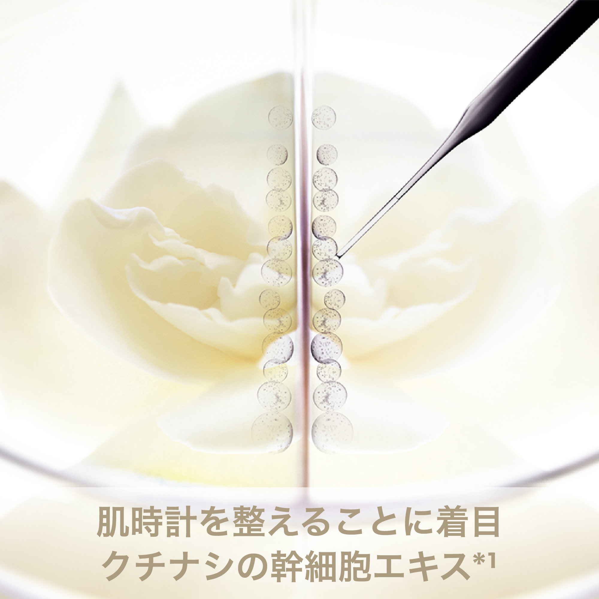 シュプリーム LX クリーム) ：Amway(日本アムウェイ) | amwaylive