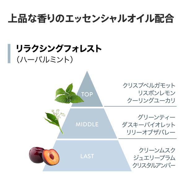 フィールクリーン シャンプー （地肌ケア） 750mL) ：Amway(日本