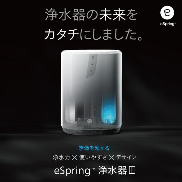 浄水器Ⅲ ビルトイン型 交換用フィルター定期配送付き) ：Amway(日本