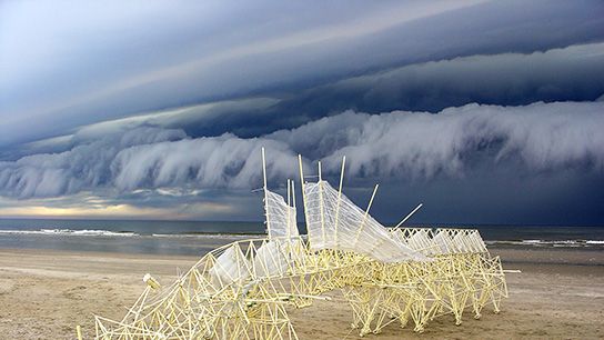 Theo Jansen's Strandbeests Walk New England Beaches