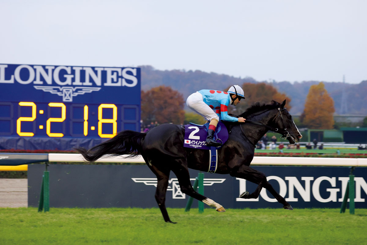 ジャパンカップ2024を目撃せよ。ルメール騎手と中村蒼に聞く、競馬場の