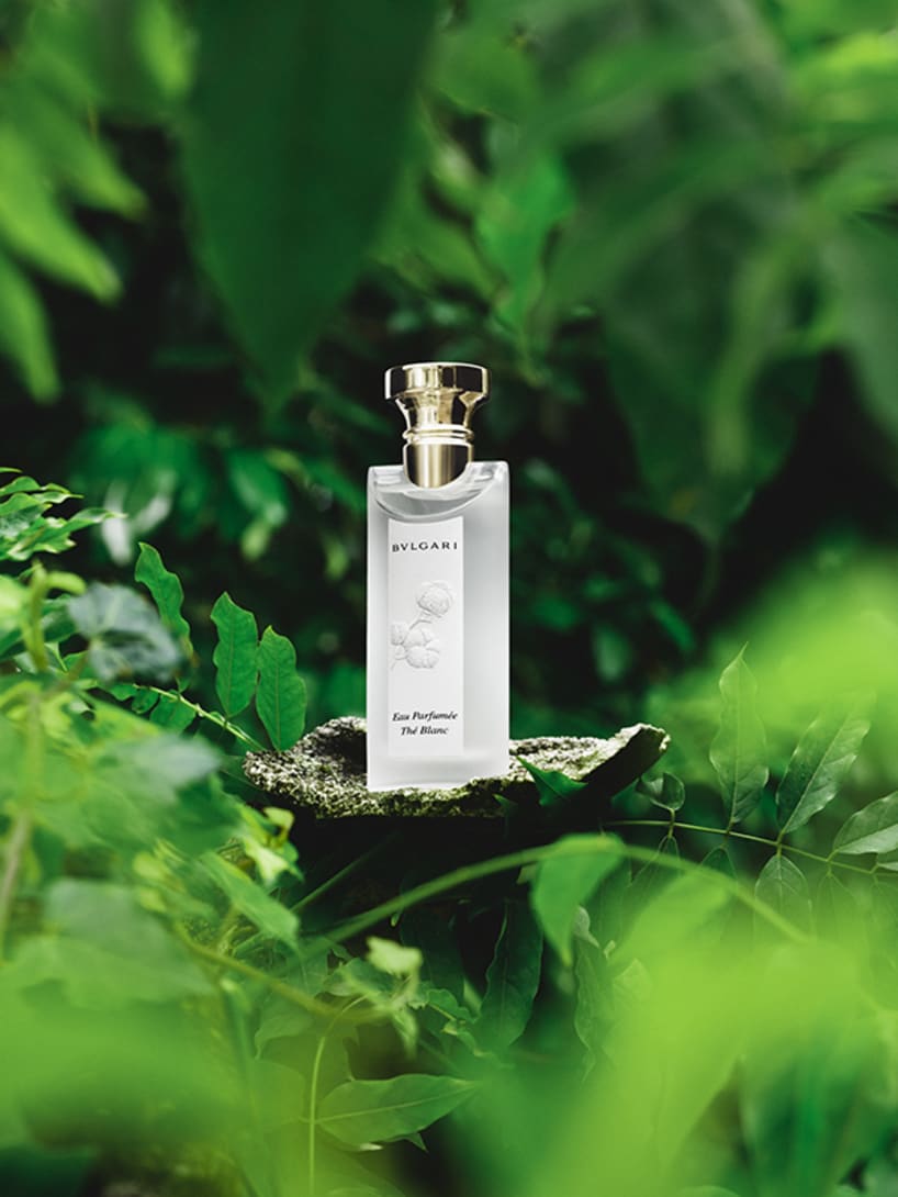 Eau Parfumée Thé Blanc Eau De Toilette 5.0 oz/150 ml | Bvlgari
