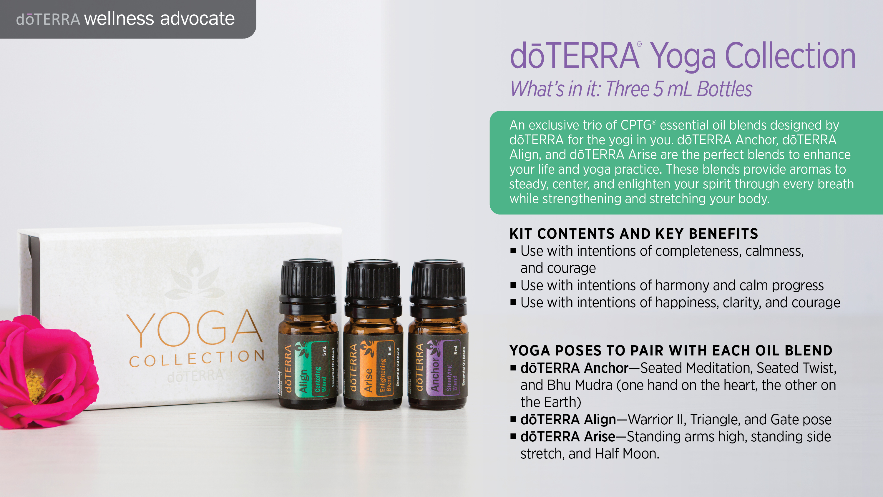 Presentations: Kits and Collections | doTERRA Essential Oils