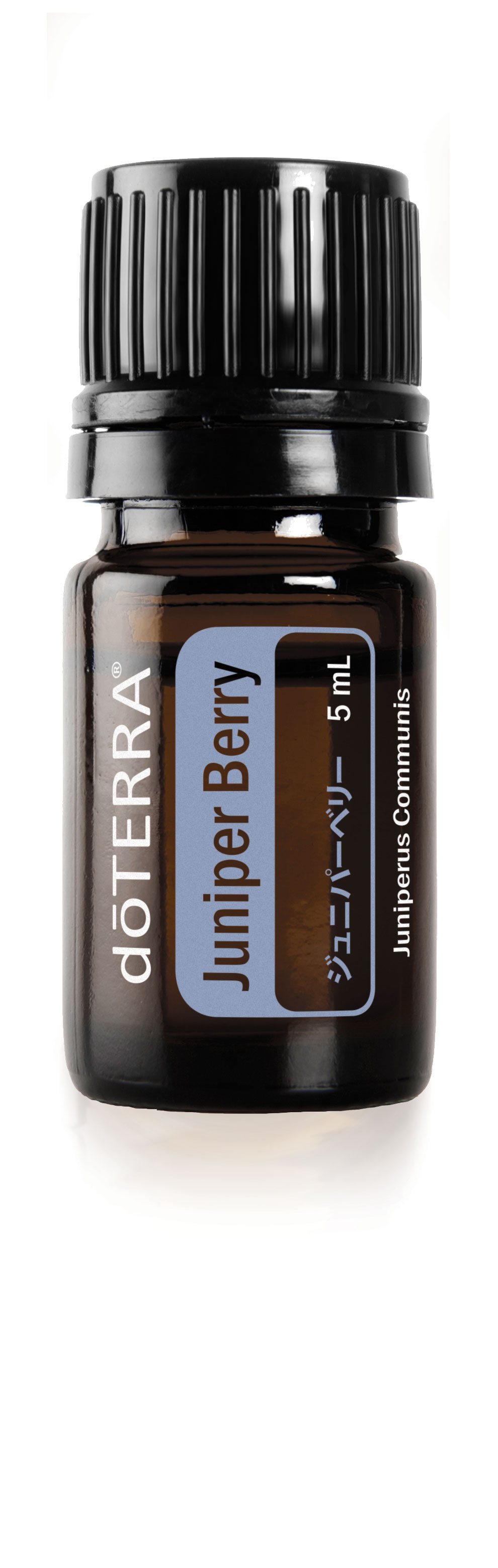 ジュニパーベリー | doTERRAエッセンシャルオイル | doTERRA Essential