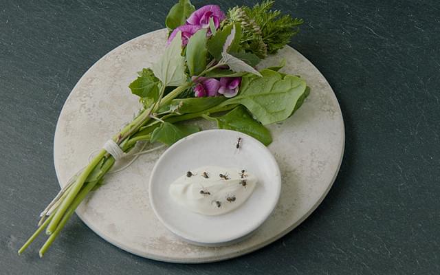 NOMA ノーマ 北欧料理の時間と場所 Amazon.co.jp: ノーマ: 北欧料理の