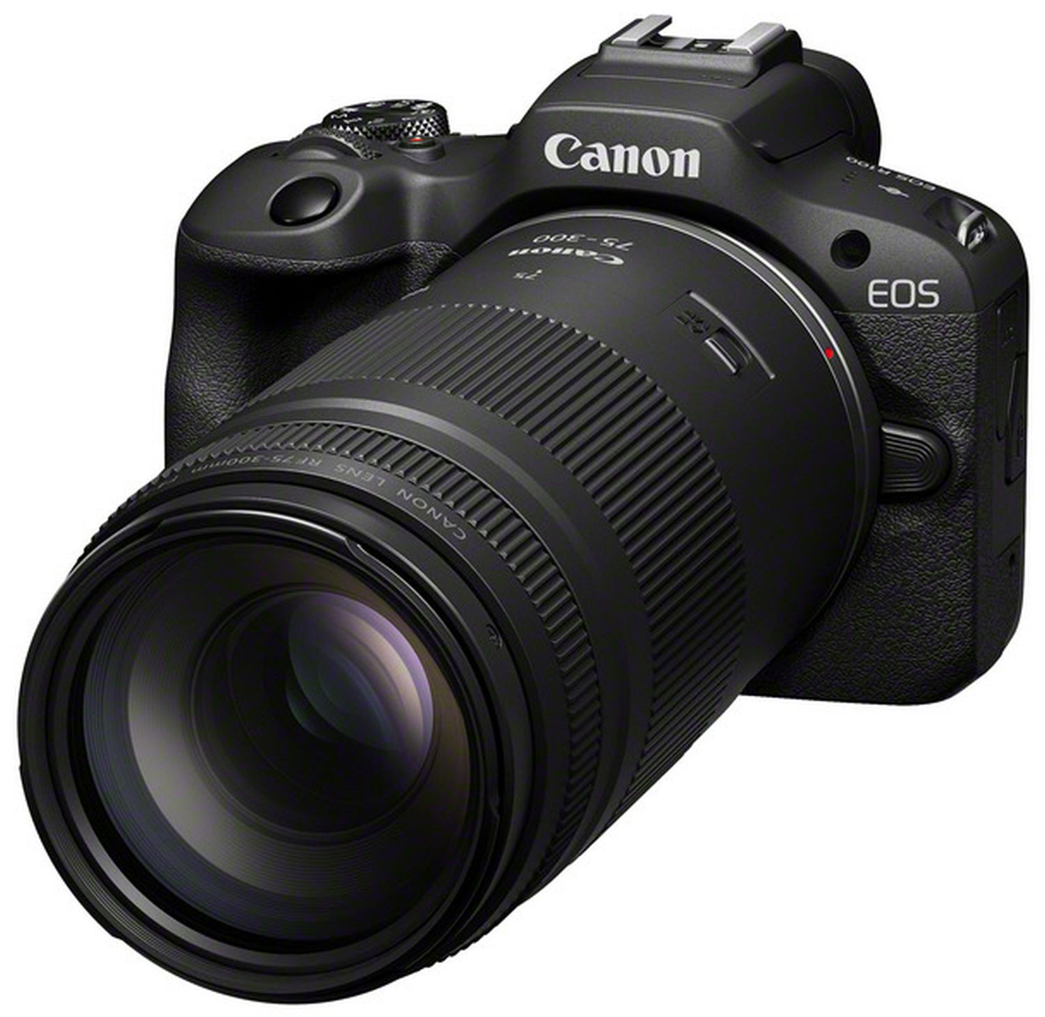 Canon RF 75-300mm f4-5.6 - Foto Erhardt