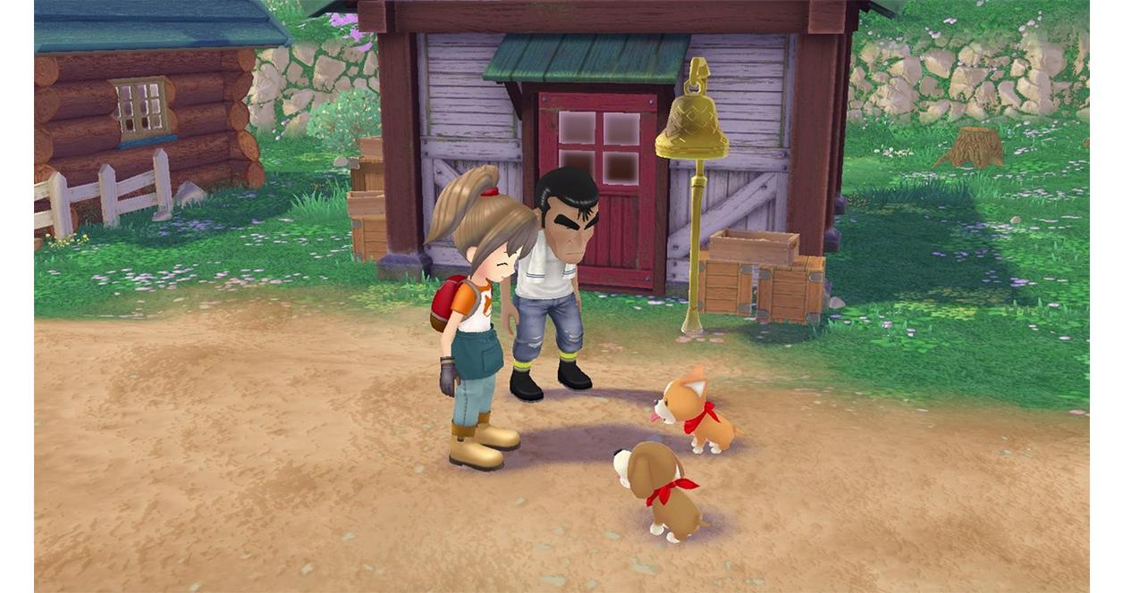 Story of Seasons: A Wonderful Life Premium - Nintendo Switch