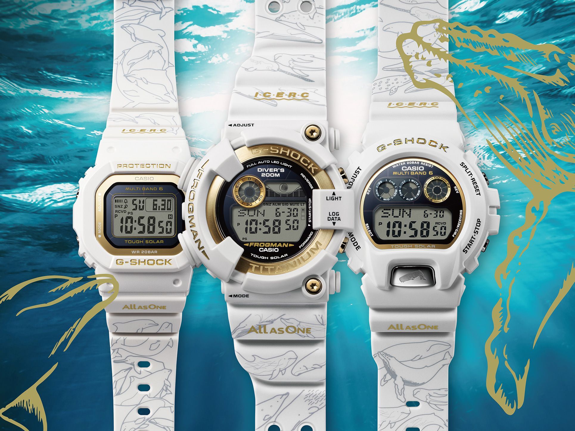 G-SHOCKの“イルクジ”が30周年！ 2024年モデルは、30頭のイルカとクジラ