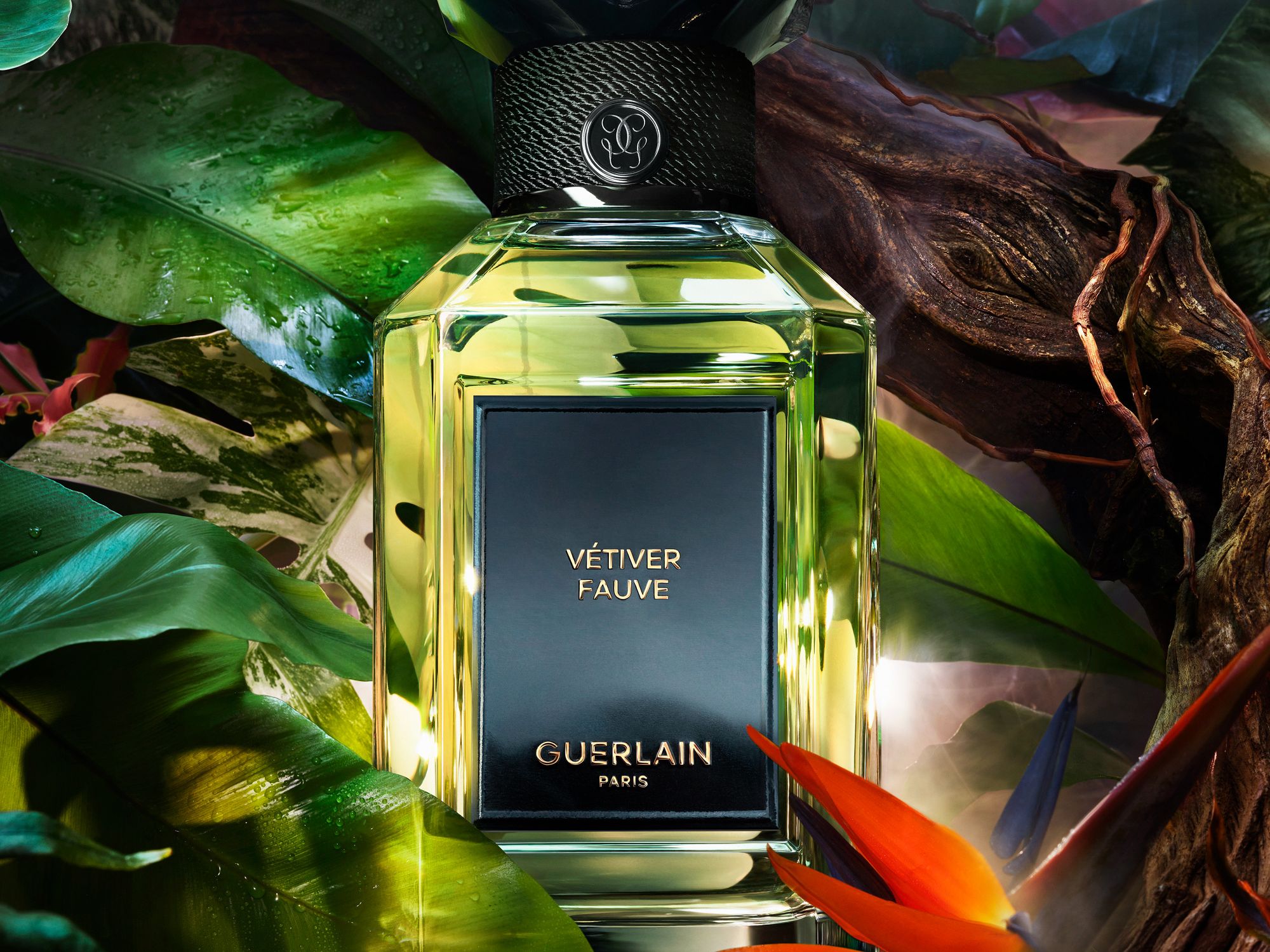 ゲランの新作香水「ラール エ ラ マティエール ベチバー フォーヴ」で