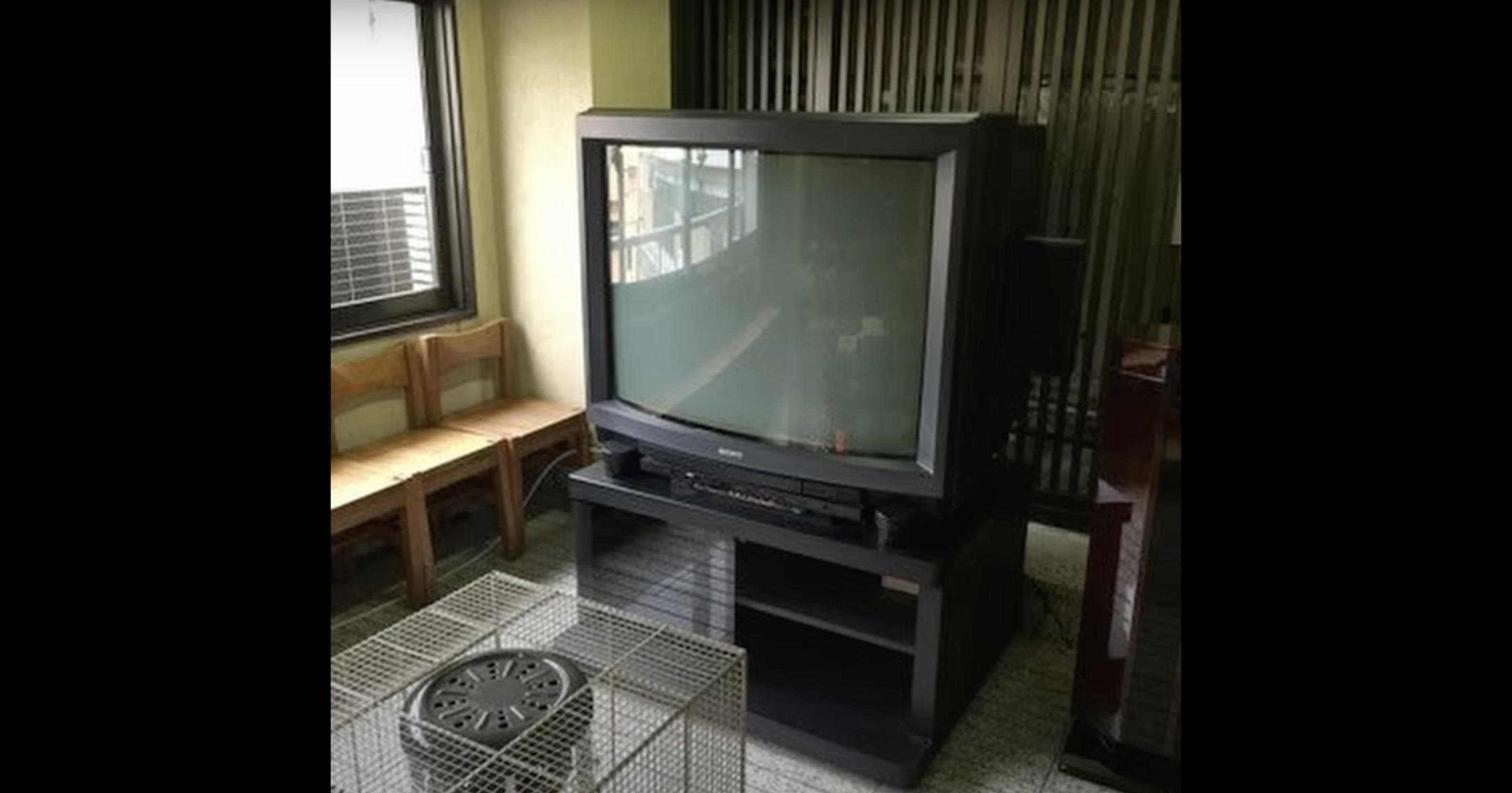 伝説のテレビ、ソニー製。それをすてるなんてとんでもない