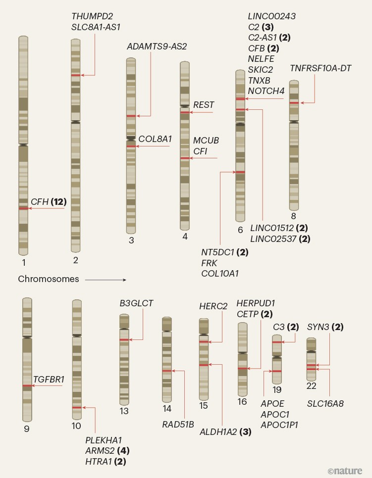 Twenty years of genome-wide association studies