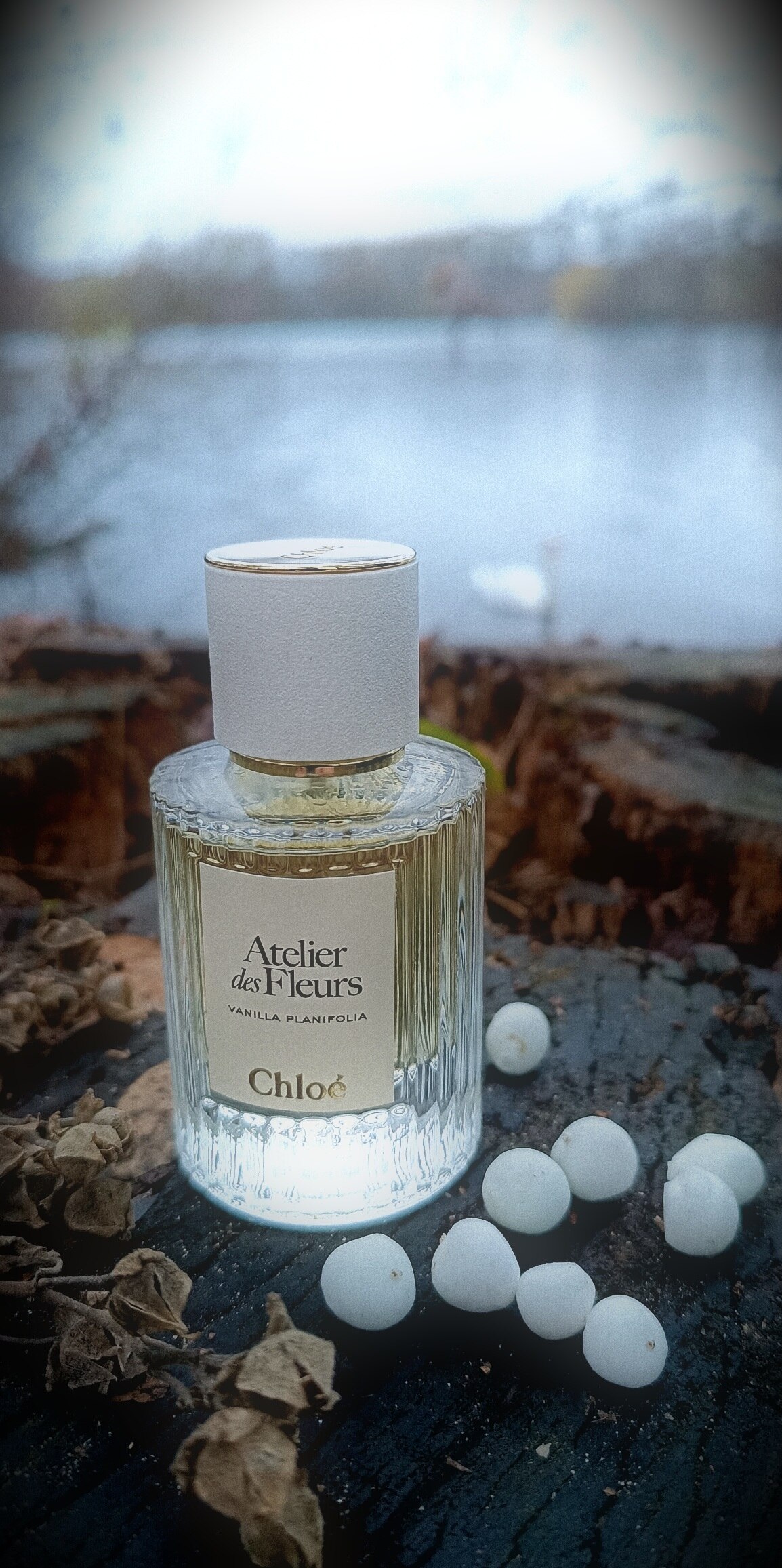 Vanilla Planifolia by Chloé » Reviews & Perfume Facts