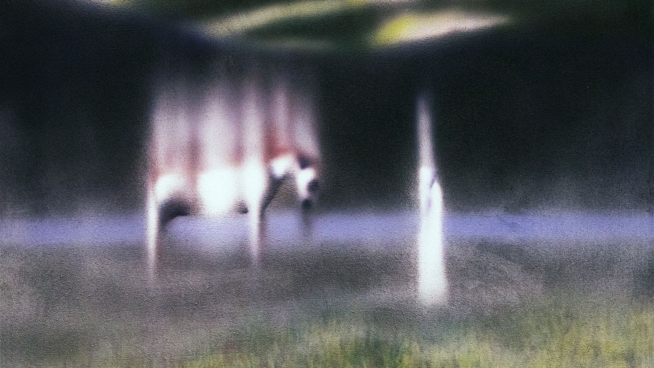 Navy Blue: Memoirs in Armour Album Review | Pitchfork