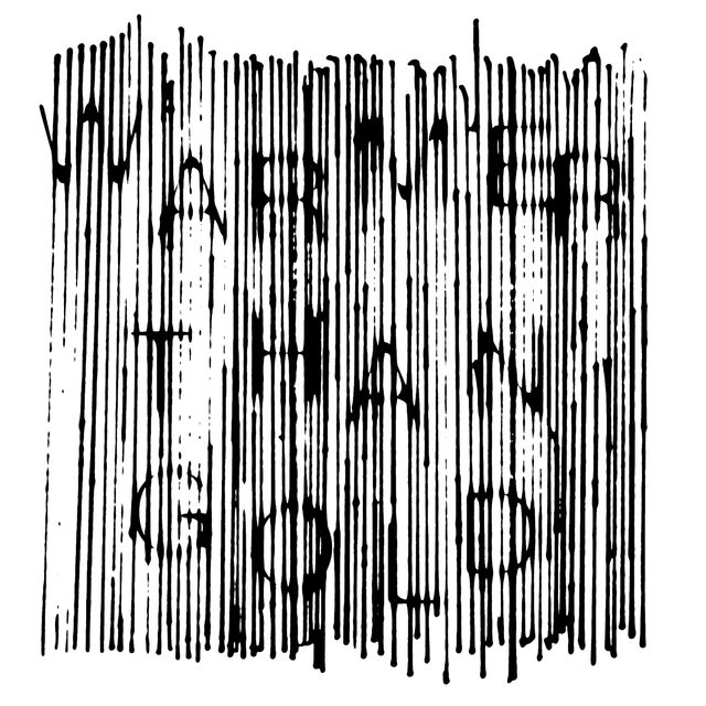 Carlos Maria Trindade / Nuno Canavarro: Mr. Wollogallu Album