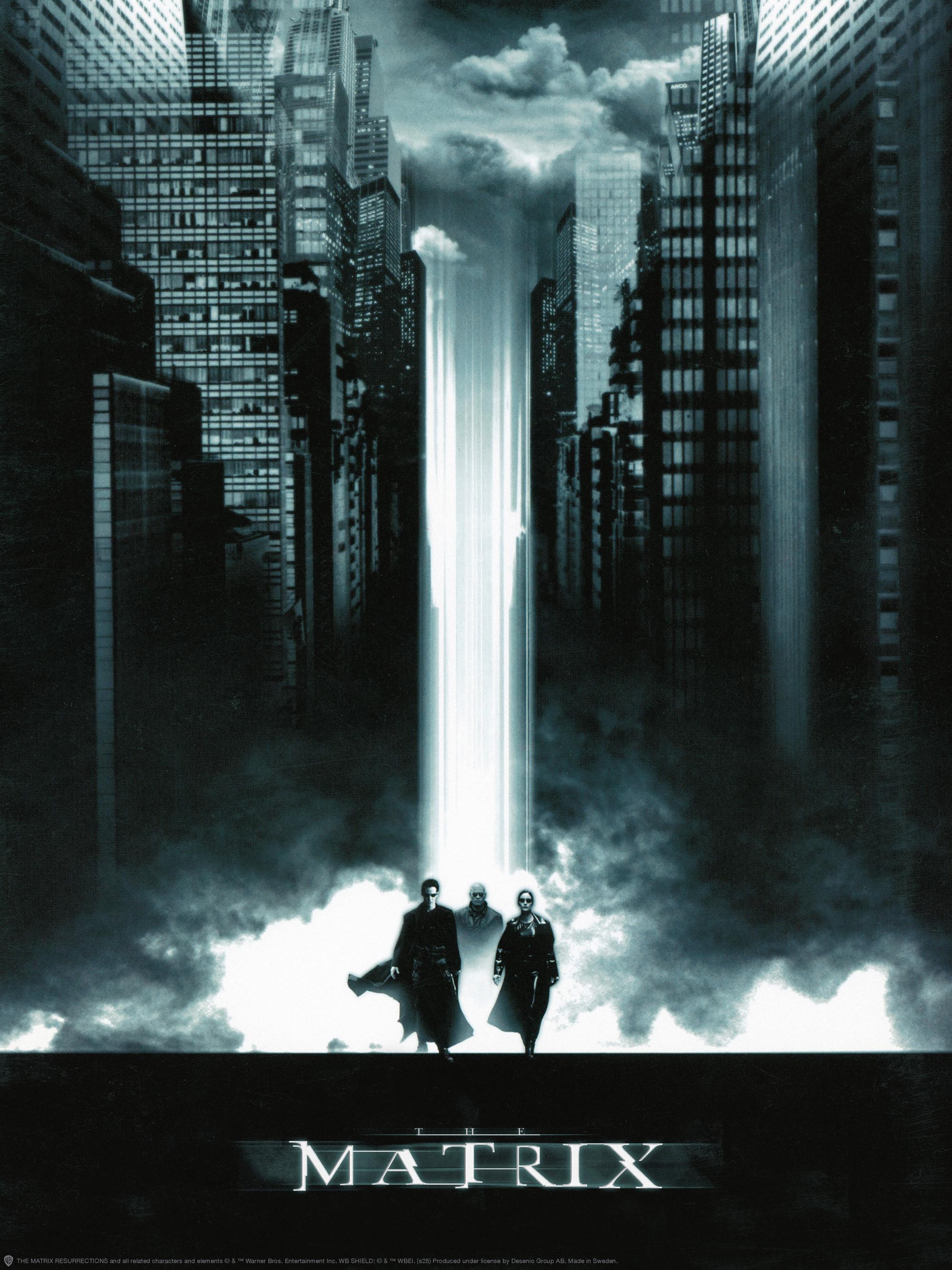 Matrix™ - The Matrix サイバーパンクアートポスター | Poster Store JP