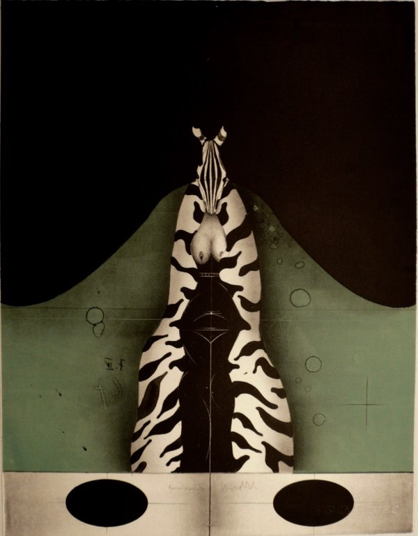 Zebra by Paul Wunderlich | Printed Editions