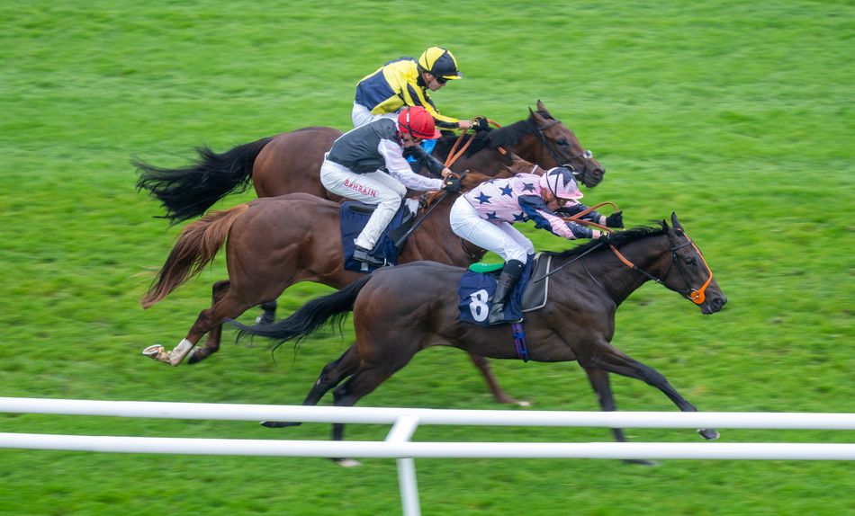 Richard Hannon lands incredible 2,393-1 double on an afternoon of