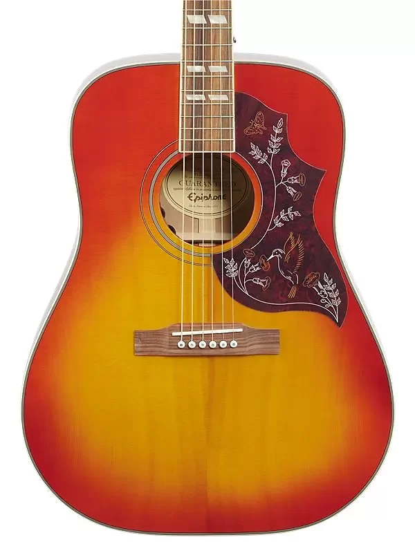 Epiphone Hummingbird PRO/FC
