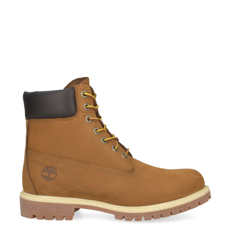 Timberland #5552R STORMBUCK CHELSEA BOOT Chelsea Boots in dark