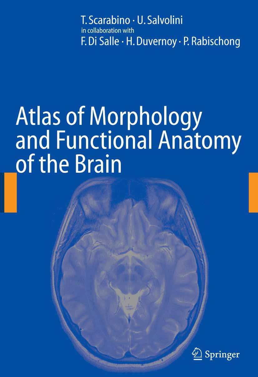 Atlas of Morphology and Functional Anatomy of the Brain | Springer