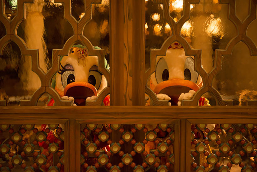 公式】東京ディズニーリゾート～ある日の一枚～｜東京ディズニー