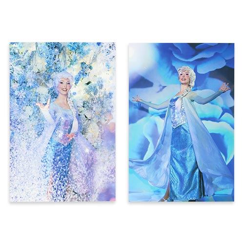 公式】アナとエルサのフローズンジャーニー｜東京ディズニーシー