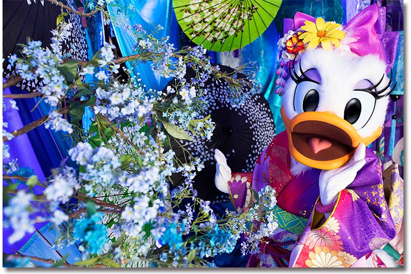 公式】「イマジニング・ザ・マジック」：写真家 蜷川実花さんと