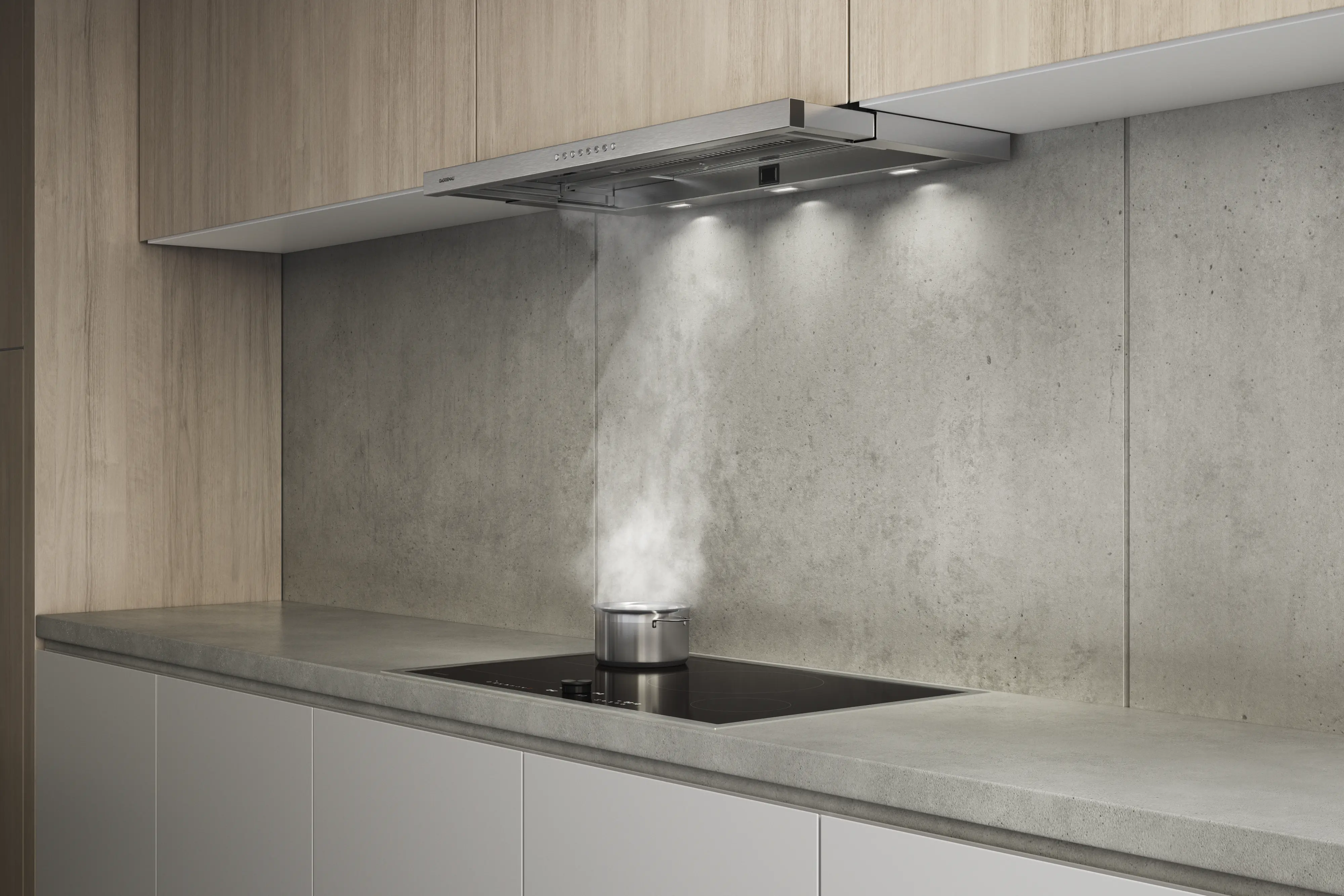 AF210192 Slideout rangehood | GAGGENAU NZ