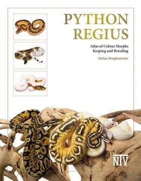 Python regius: Atlas of Colour Morphs - Keeping and Breeding