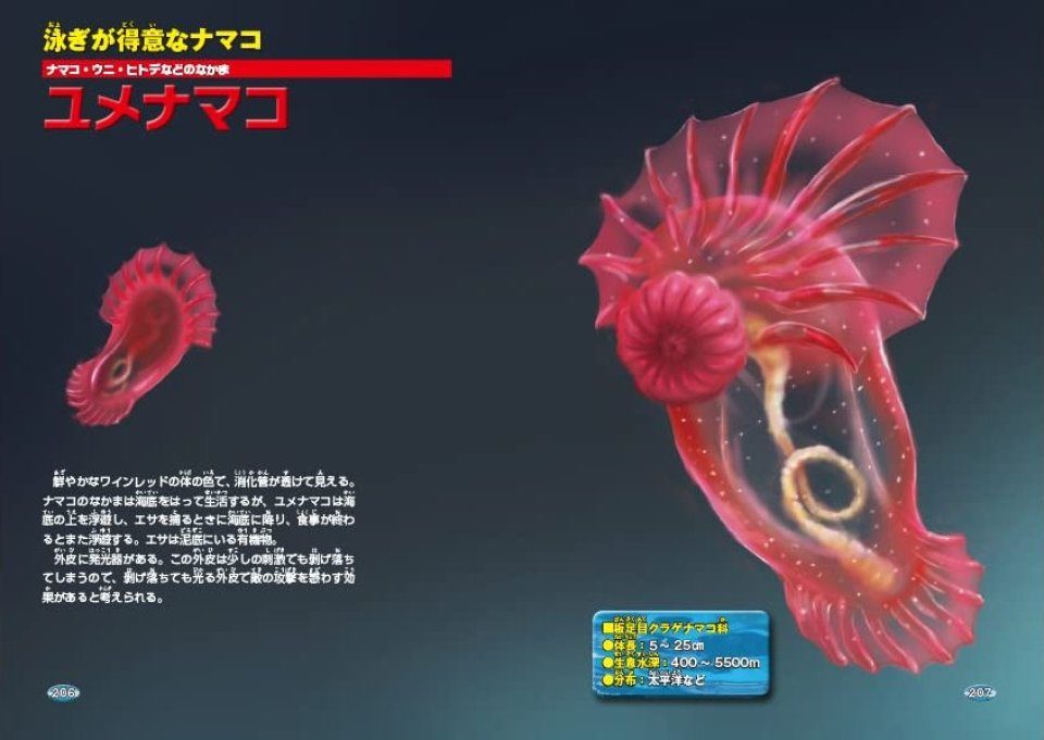 Zukai dai Jiten Shinkai Seibutsu [Illustrated Encyclopedia Deep