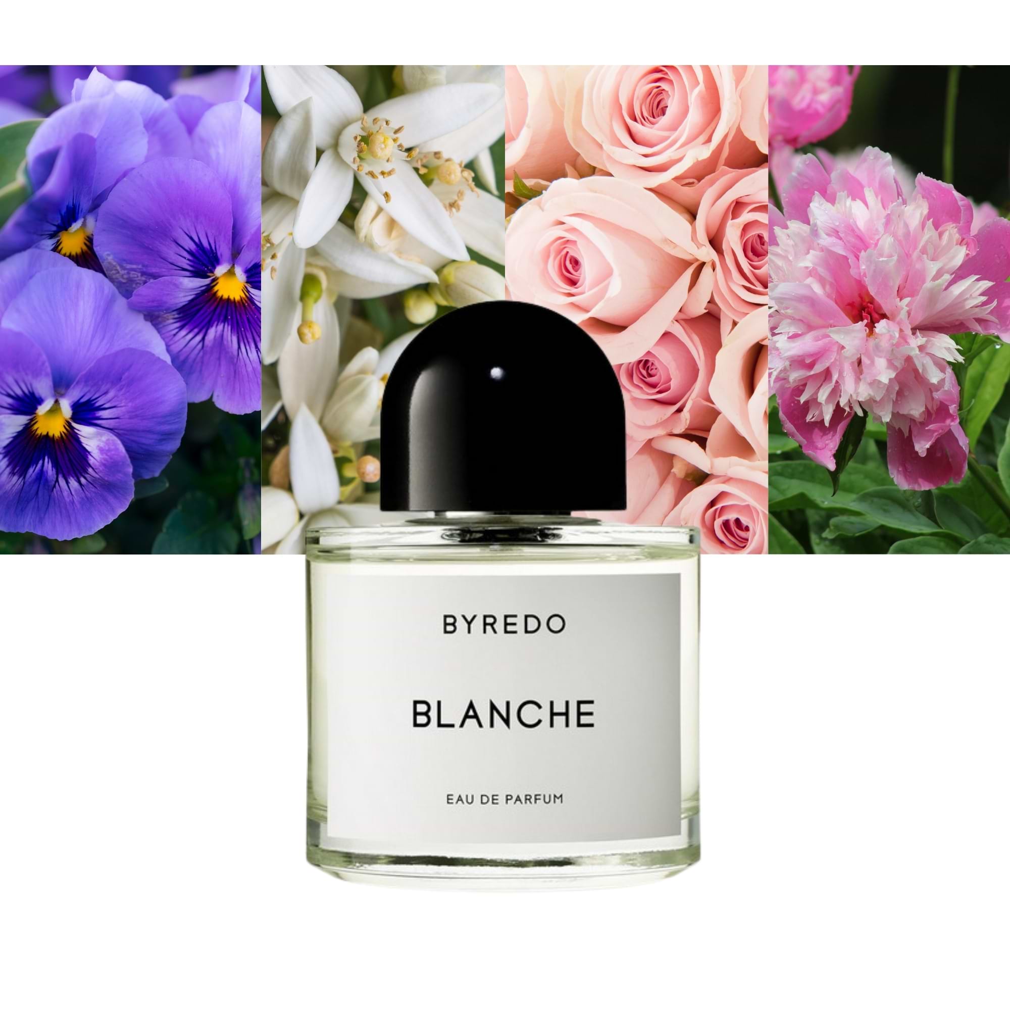 Byredo Blanche-The Perfect Scent Of Our Time
