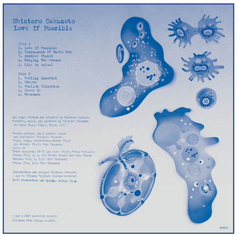坂本慎太郎 Shintaro Sakamoto - できれば愛を Love If Possible (LP+