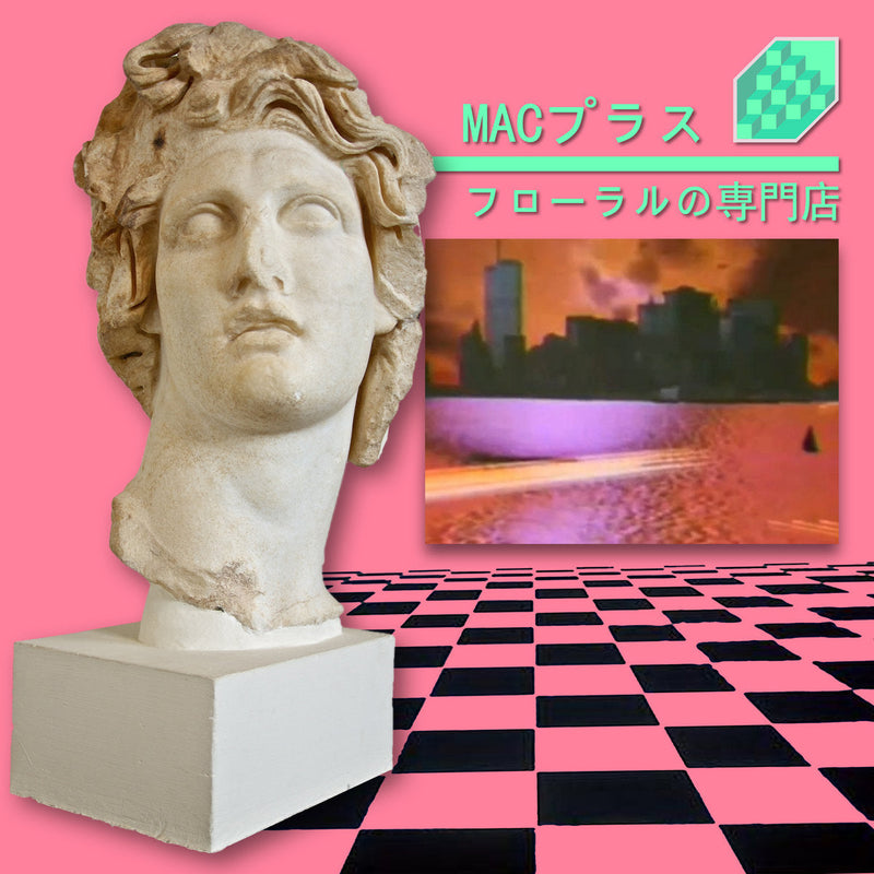 Macintosh Plus - Floral Shoppe =フローラルの専門店 (LP) – Meditations