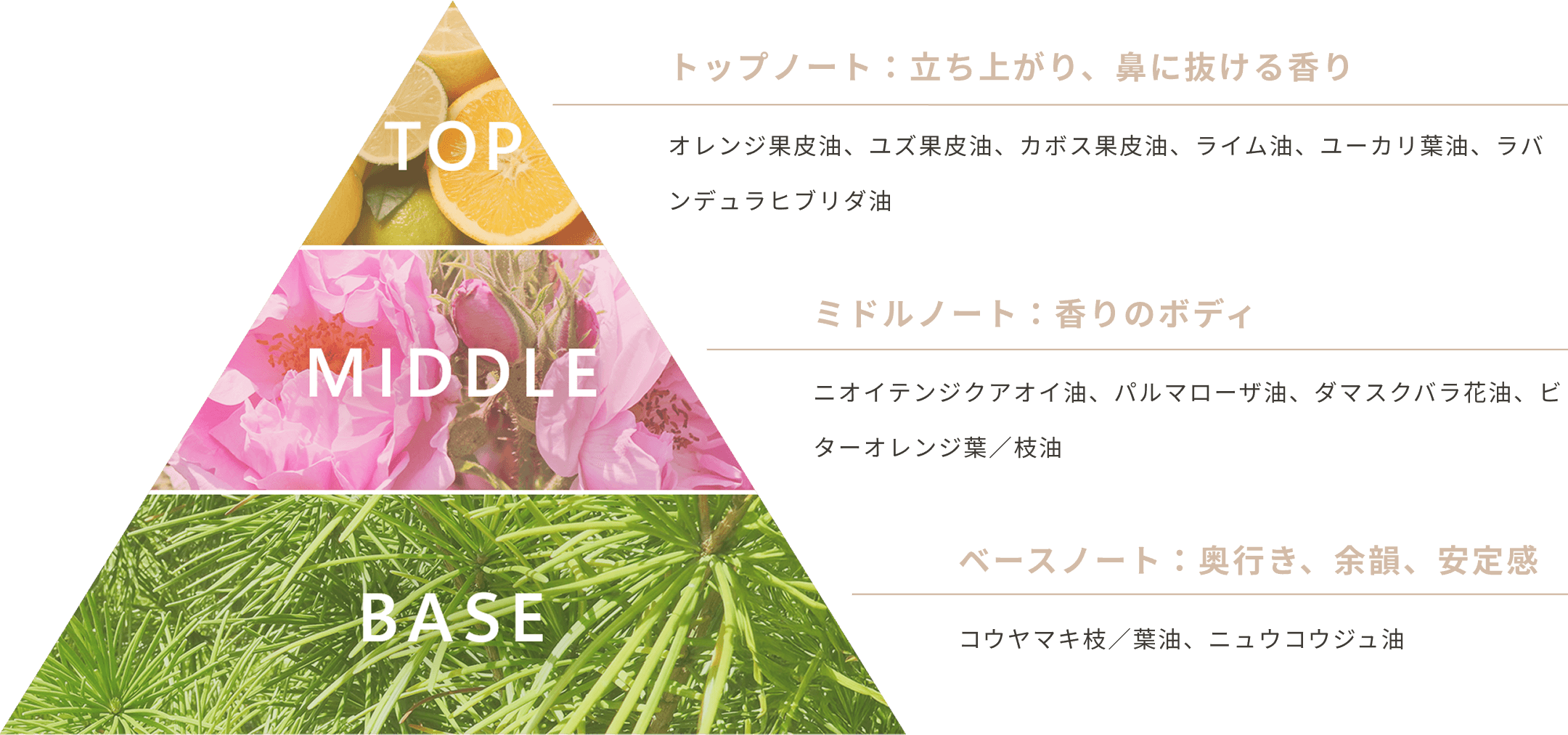 メリフィーク F クリームセラム - 【公式】MELIFIQUE | メリフィーク