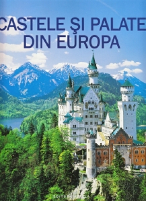Corneliu Michailescu Călătorie prin imposibilul cotidian His