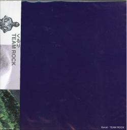 芽瑠璃堂 ＞ くるり 『Team Rock (LP) (アナログ盤)』HRLP054