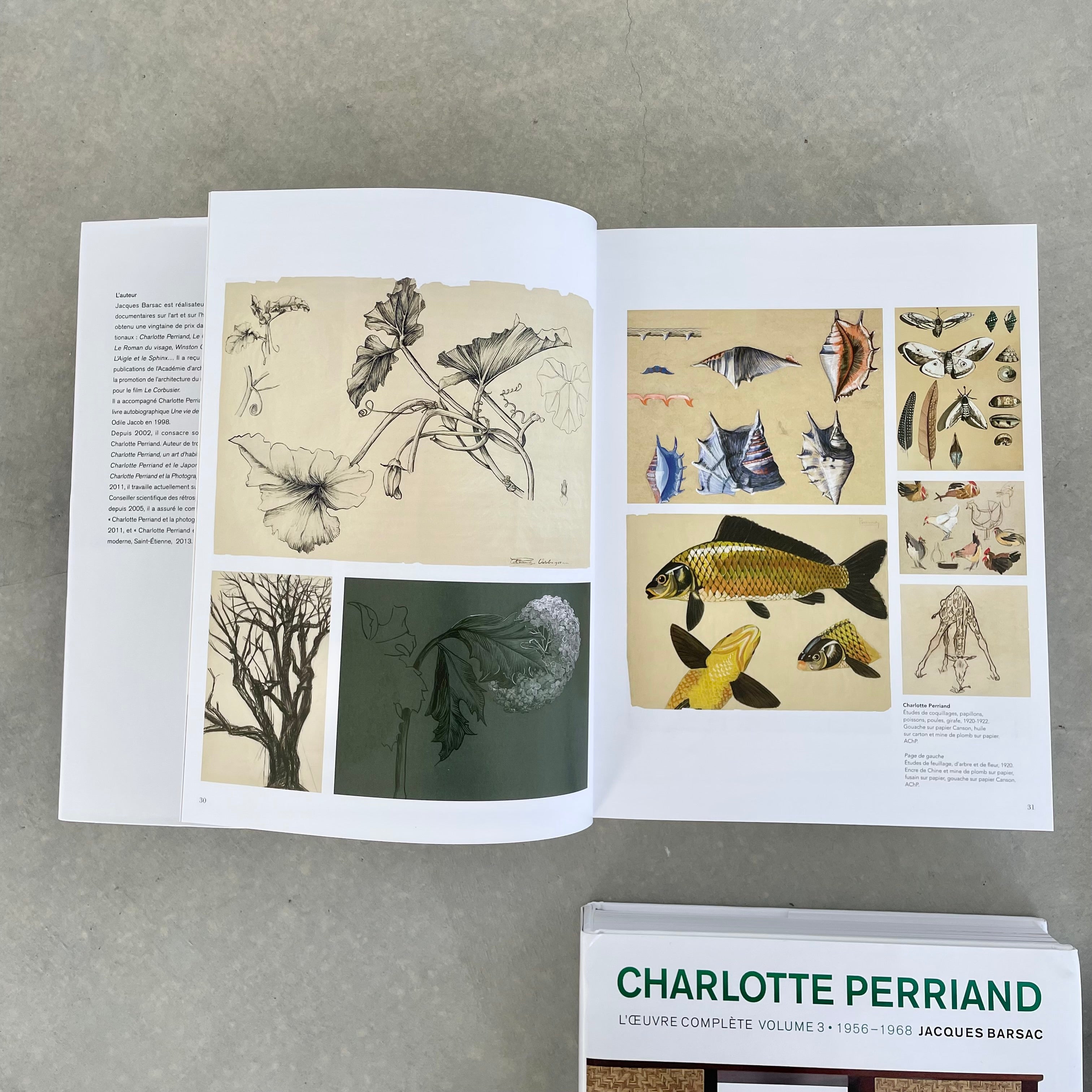Charlotte Perriand Complete Works Vol 1-4
