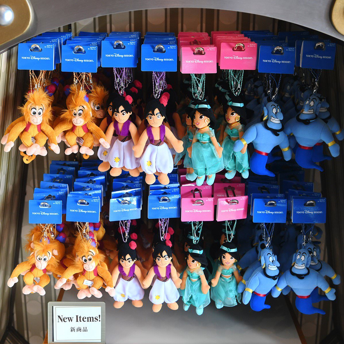 アラジン・ジャスミン・アブー・ジーニー！東京ディズニーランド