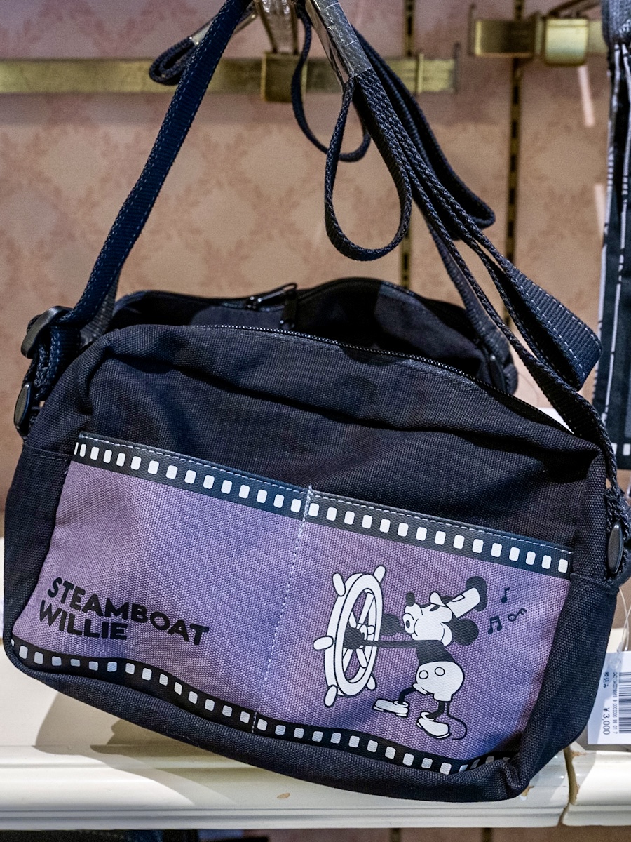 リュックサック、トートバッグ、サングラスなど！東京ディズニーランド