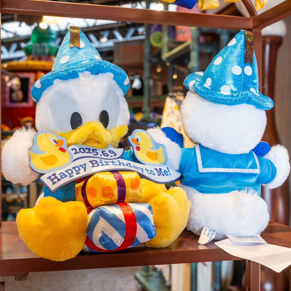 2025年のお誕生日をお祝い！東京ディズニーリゾート「ドナルドダック