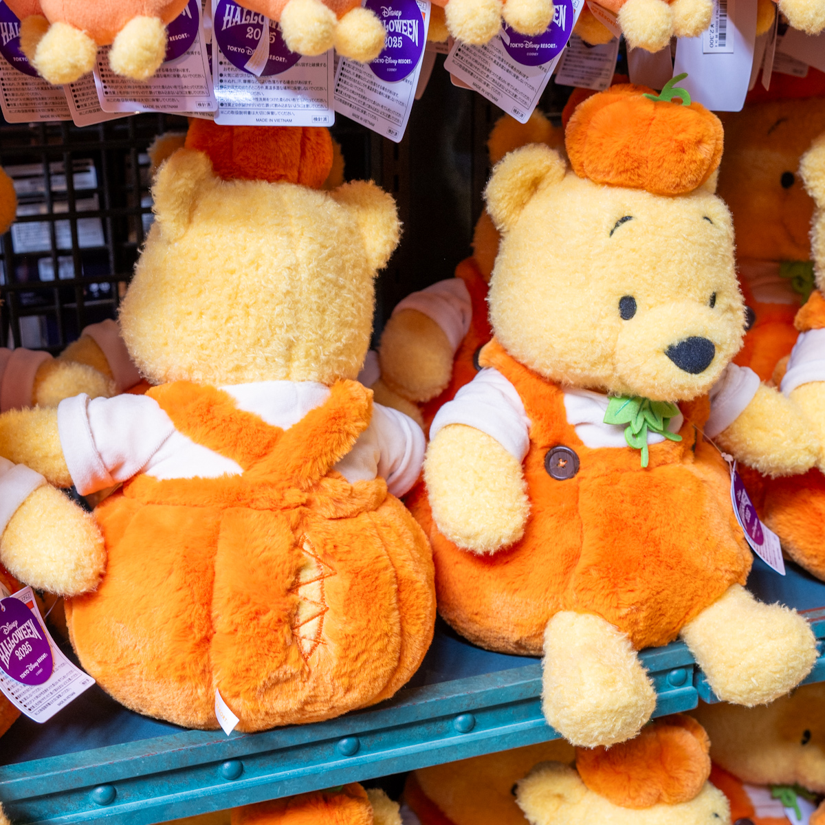 パンプキンコスチュームを着たプーさん！東京ディズニーリゾート