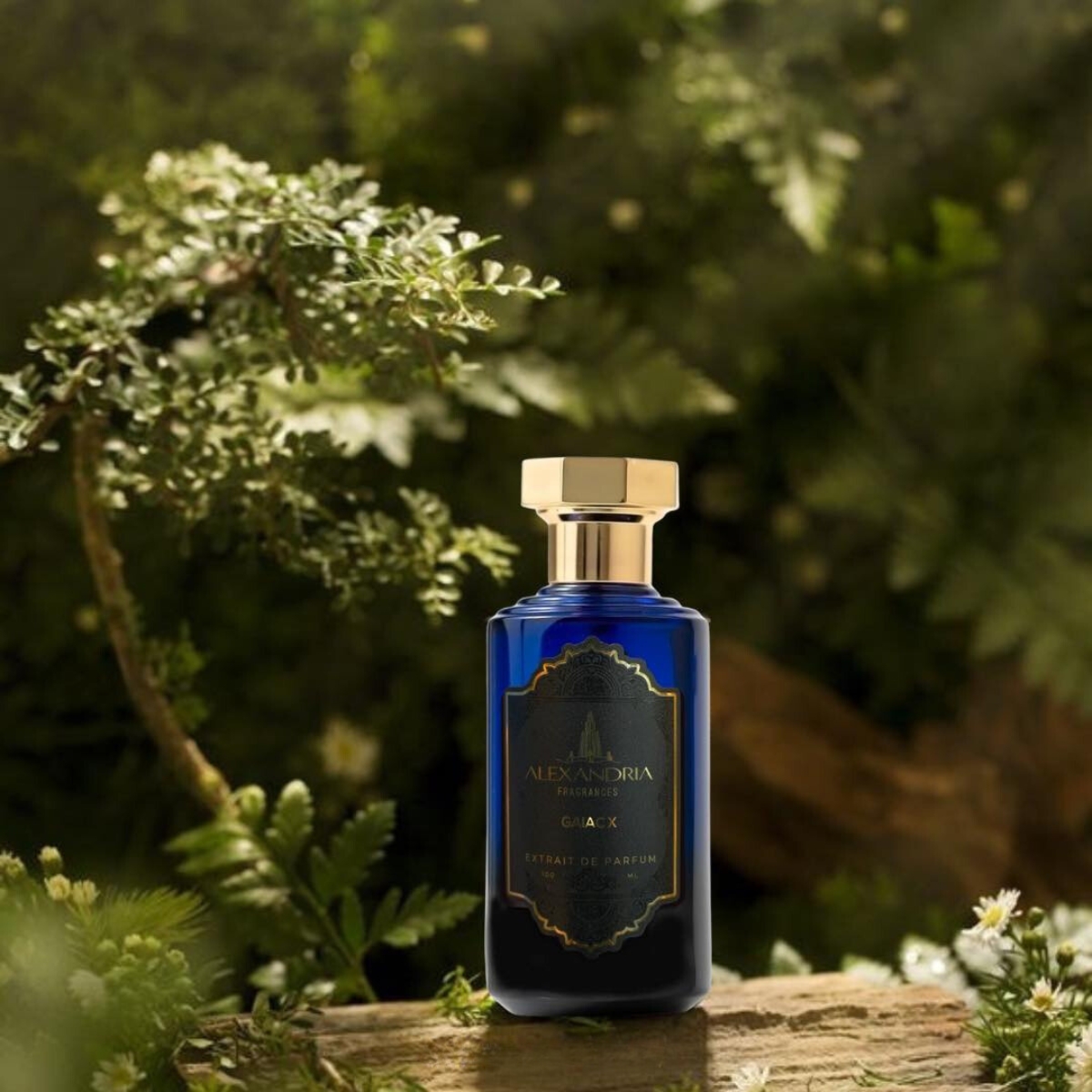 Alexandria Fragrances Gaiac X - MF Paris