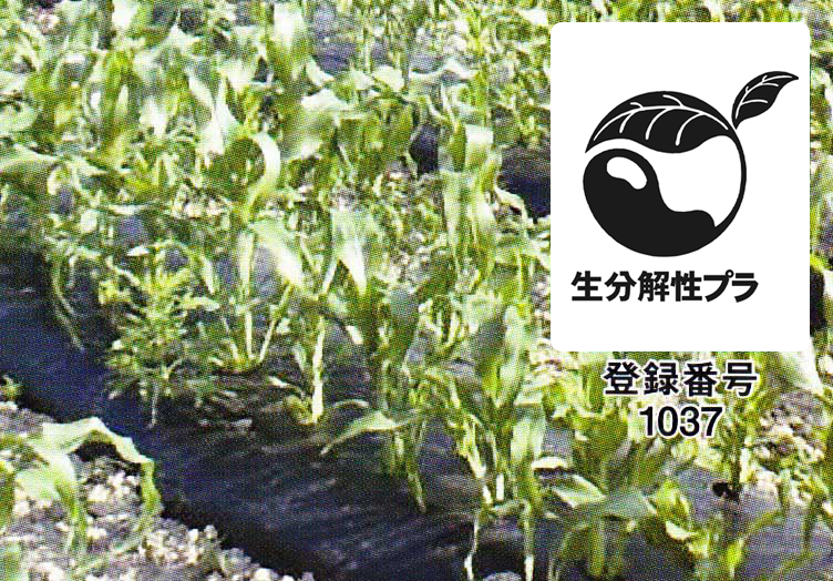 カエルーチ | 農業用資材 | MKVアドバンス(株)