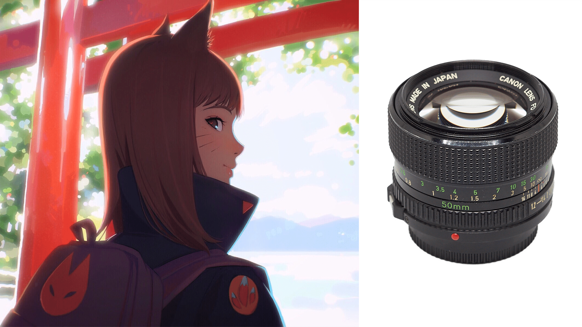 Canon New FD 50mm 1:1.2 tests and review - Lens QA Works