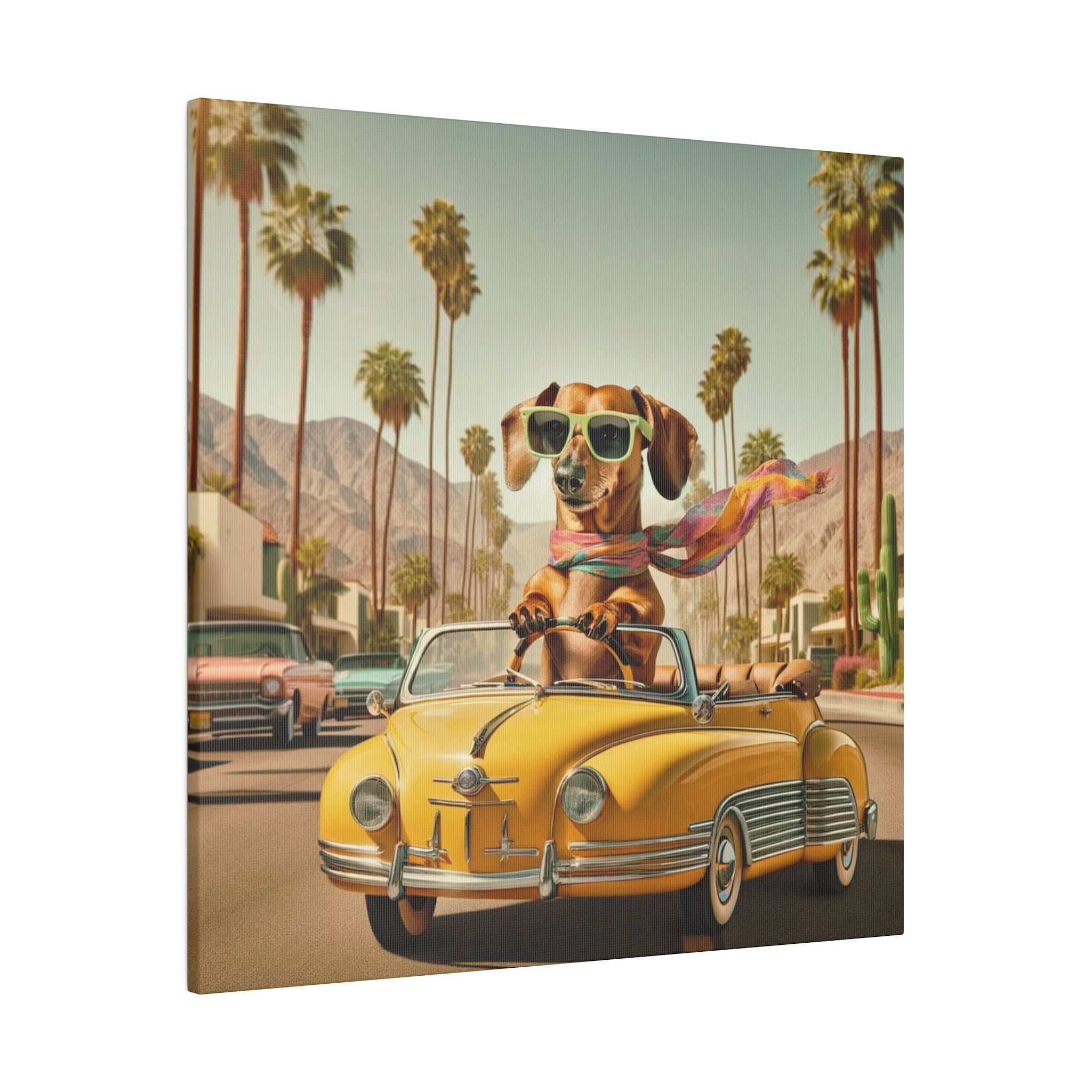 Funny Doxie Dachshund Palm Spring California Driving 50s Inspired