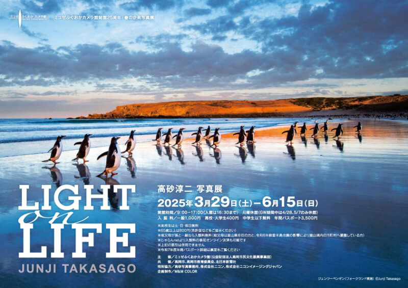 20250508_1453_2lightonlife_297