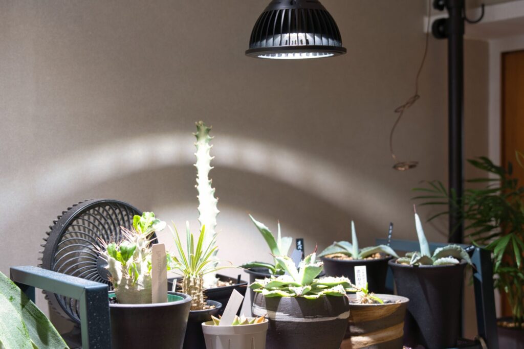 長期使用レビュー】HaruDesign HASU38 spec9 6K｜メリット・デメリット