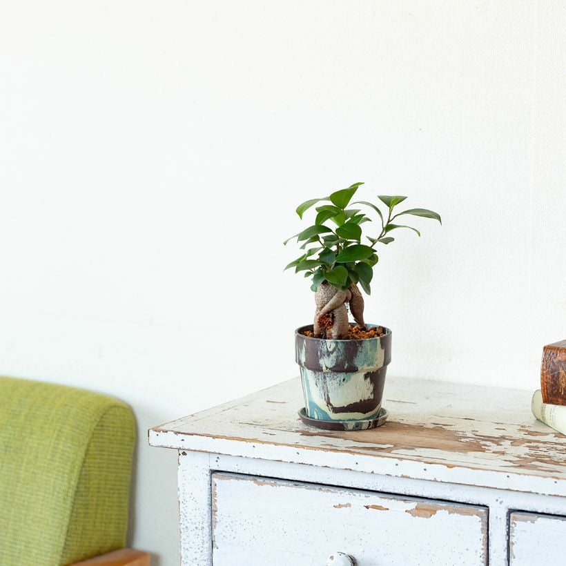 マーブル模様植木鉢｜樹脂製で軽い！アーバンプランツポット