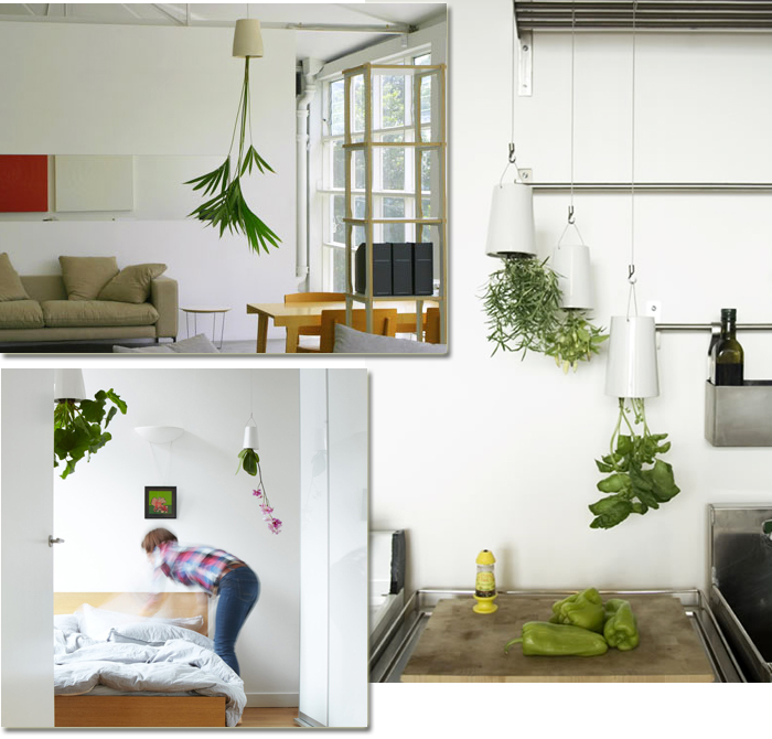 スカイプランター｜[公式] e-花屋さん 本店